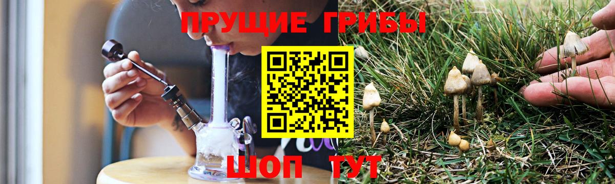 Псилоцибиновые грибы Cubensis  Вход с VPN  Коломна 